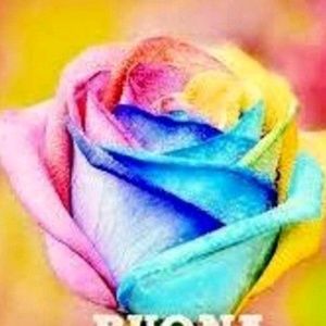 Meet your Posher, Eleonora